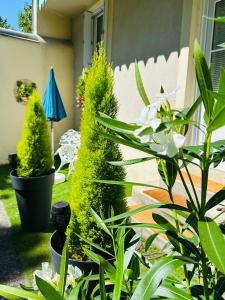 Studio charmant Parking & terrasse près du centre