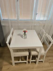 Modern comfort in the heart of the city of Dvůr Králové nad Labem