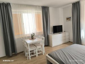 Modern comfort in the heart of the city of Dvůr Králové nad Labem