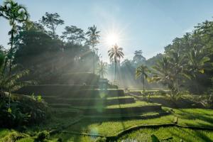 Villa Ubud Bali Indonesia a modern retreat with pool, ideal for families