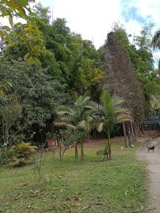 Estúdio Som do Riacho