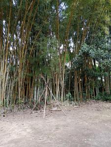 Estúdio Som do Riacho