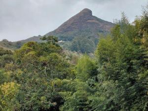 Estúdio Som do Riacho