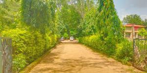 Roopam Resort Ranakpur