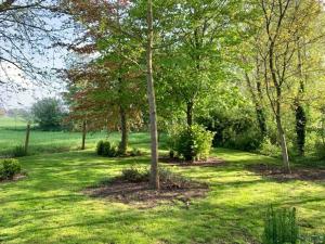 Idyllic cottage with wellness facilities