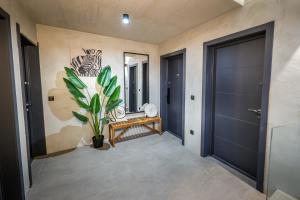 Villa Cocosinella Belgrade