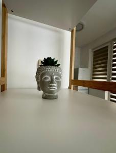 TVS Apartment-City centre