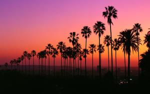 The Palomino - AMAZING Chic-Luxe, Private, Guest House - Pool, Sauna, Free Parking - Affittacamere, Los Angeles