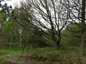 6 person holiday home in Ebeltoft