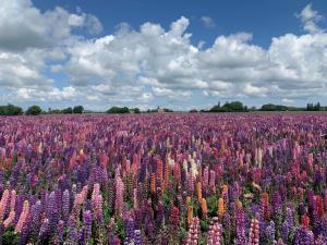 Luxury Spa Retreat in Lolland - By Traum Ferienwohnungen