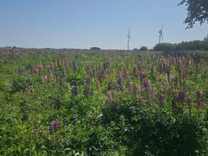 Luxury Spa Retreat in Lolland - By Traum Ferienwohnungen
