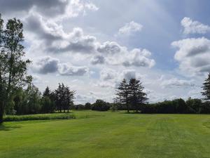 Rustic cottage with fireplace