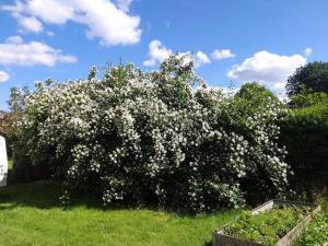 4 person holiday home in Hadsund-By Traum