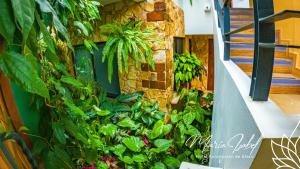 Hotel María Isabel Ataco