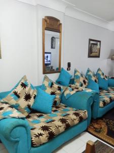 شقة اسكندرية