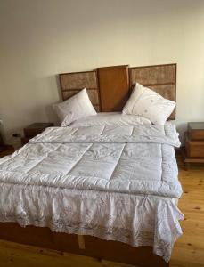 شقه بالمعادي علي النيل