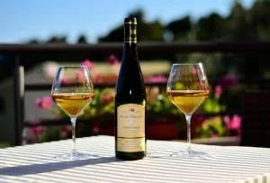 Apartments Luka Toni - كرفافيكا