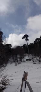 Peumañanku sueño de aguila