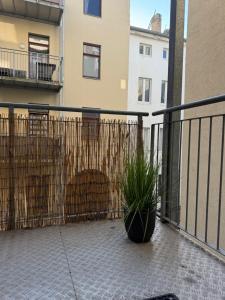 Wohnung Luna in toller Lage