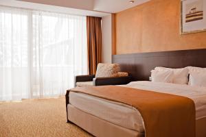 Standard Double Room with Spa Access - corpul B room in Hotel Clermont