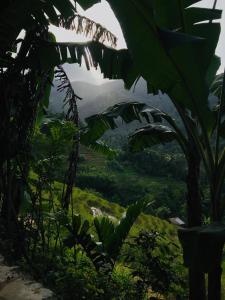 Heeloya mount view garden