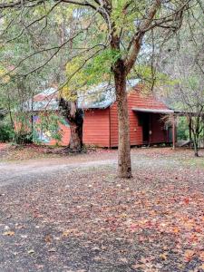 Stargazers Forest Hideaway Pemberton
