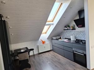 Nice and cozy loft apartment