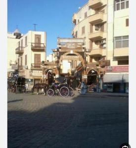 شقه للايجار اليومي او الشهري - Ubytování bez kategorie ve městě Luxor