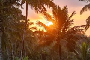 Sunfield Guest House