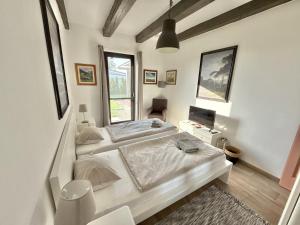 Villa Scandinavia Penati