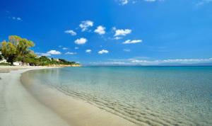 Private BLUE Apartment at Palma de Sols No Shared Living Spaces img45