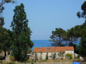 Corsea Pinarello photo 21