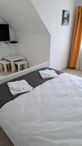 Casa Aris Lepsa Vrancea