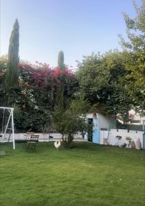 بستان الأحلام