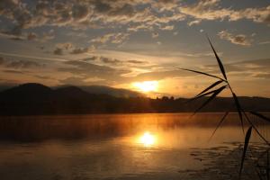 Ferienwohnungen Martha