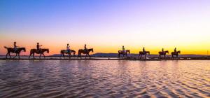 Private BLUE Apartment at Palma de Sols No Shared Living Spaces img78