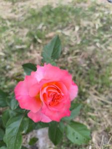 Les Jardins de Castelange