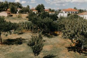 Casa Natura