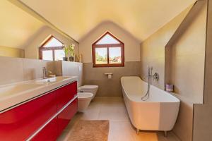 Výhled do Krkonošské krajiny