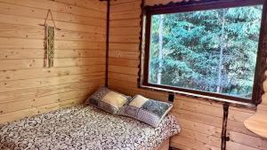 Eco glamping - Carpathians. Retreat hub Dzin Space