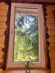 Eco glamping - Carpathians. Retreat hub Dzin Space
