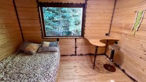 Eco glamping - Carpathians. Retreat hub Dzin Space