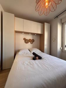 Le Scandinave - refurbished - tram stop