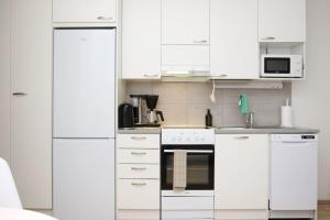 Lapland Aurora Apartment- with FreeParking WiFi near center