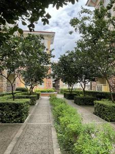 DBK HOMES Sorrento Oasis