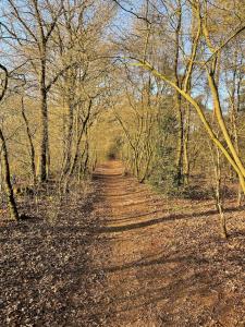 Bosperceeltje Putten