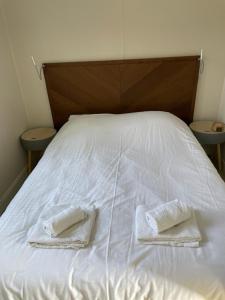 Bosperceeltje Putten