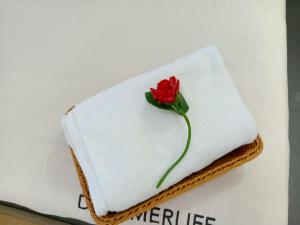 Botanical Gardens & a Long Lap Pool for Swimming