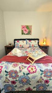 Floripa espaço independente com próx Centro e UFSC