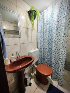 Floripa espaço independente com próx Centro e UFSC